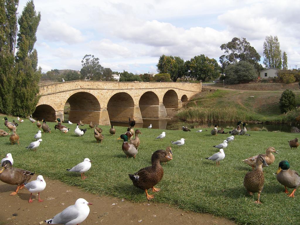 Bridge Cottages Sargeants & Armoury Cottages 1823 - History & Charm Richmond Zewnętrze zdjęcie